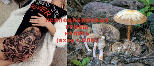 индика Алексеевка
