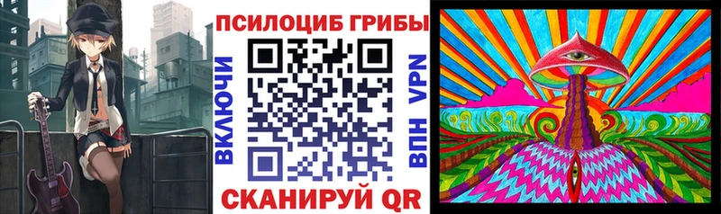 Псилоцибиновые грибы Cubensis  Осташков 